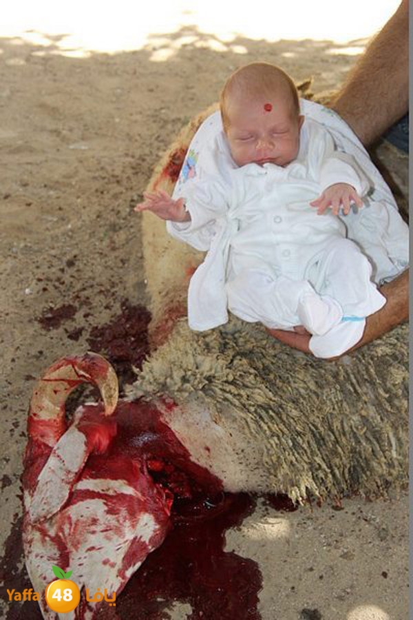 dabe7 ludj31 (48).JPG